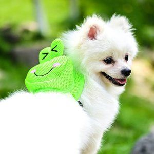 Cute Dog Harness with Cartoon Frog Backpack. Leash and Poop Bag Dispenser Set